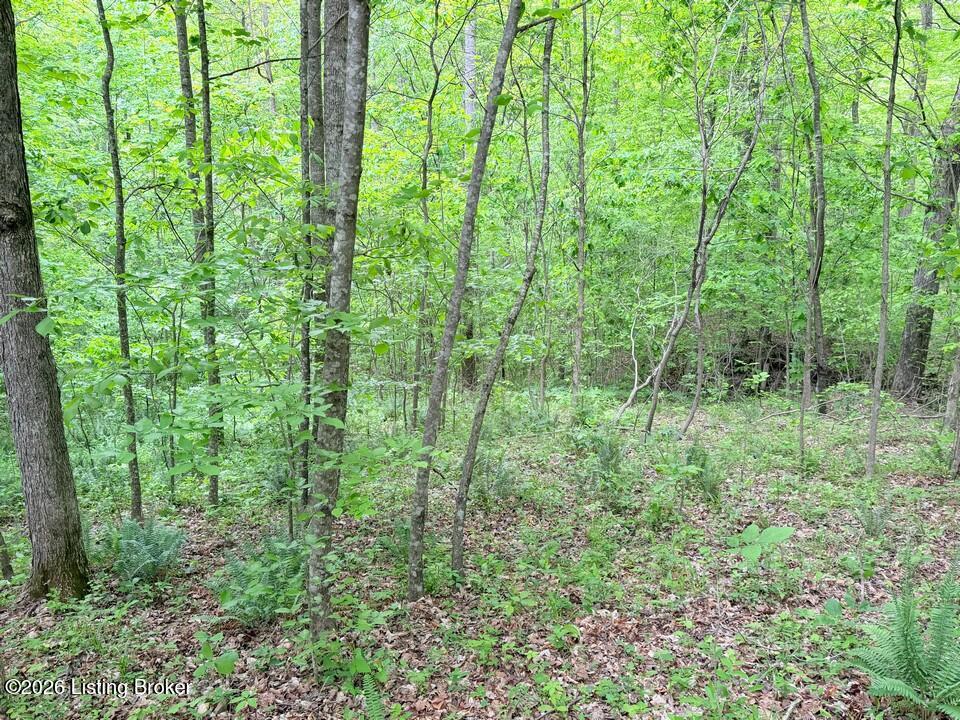 368 Nosey Creek Ct Property Photo 58