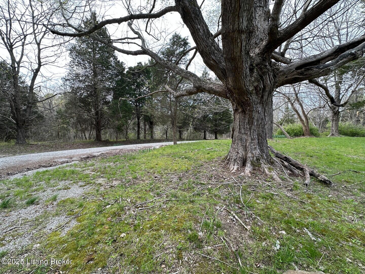 0 Vic Young Rd Property Photo 17