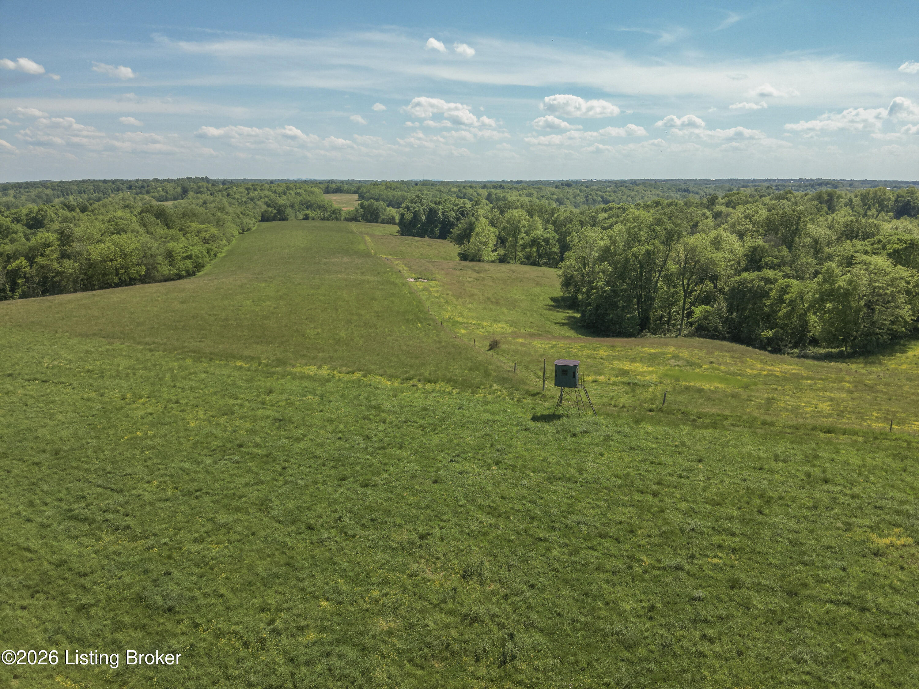904 Lawrenceburg Rd Property Photo 6