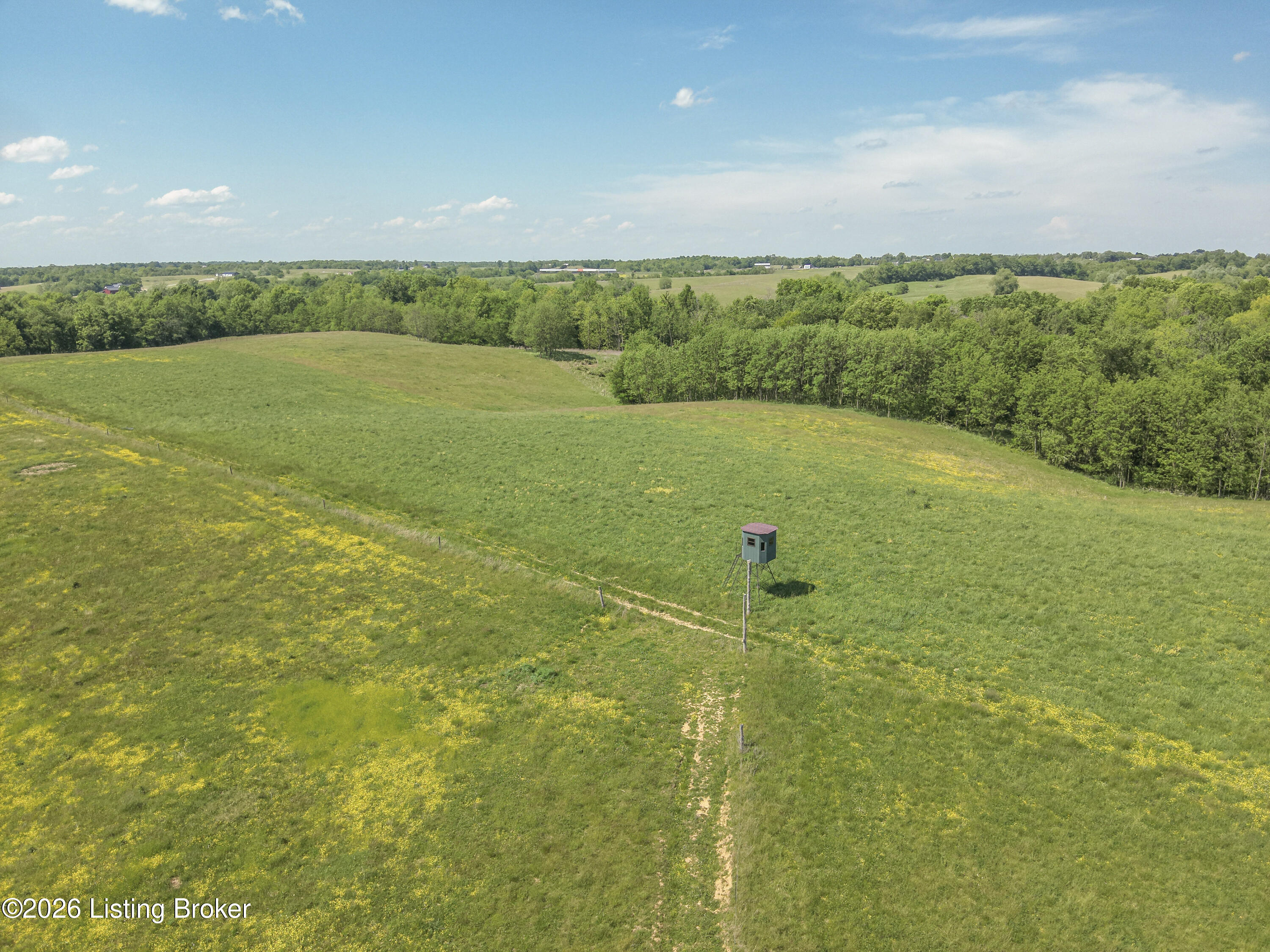904 Lawrenceburg Rd Property Photo 7