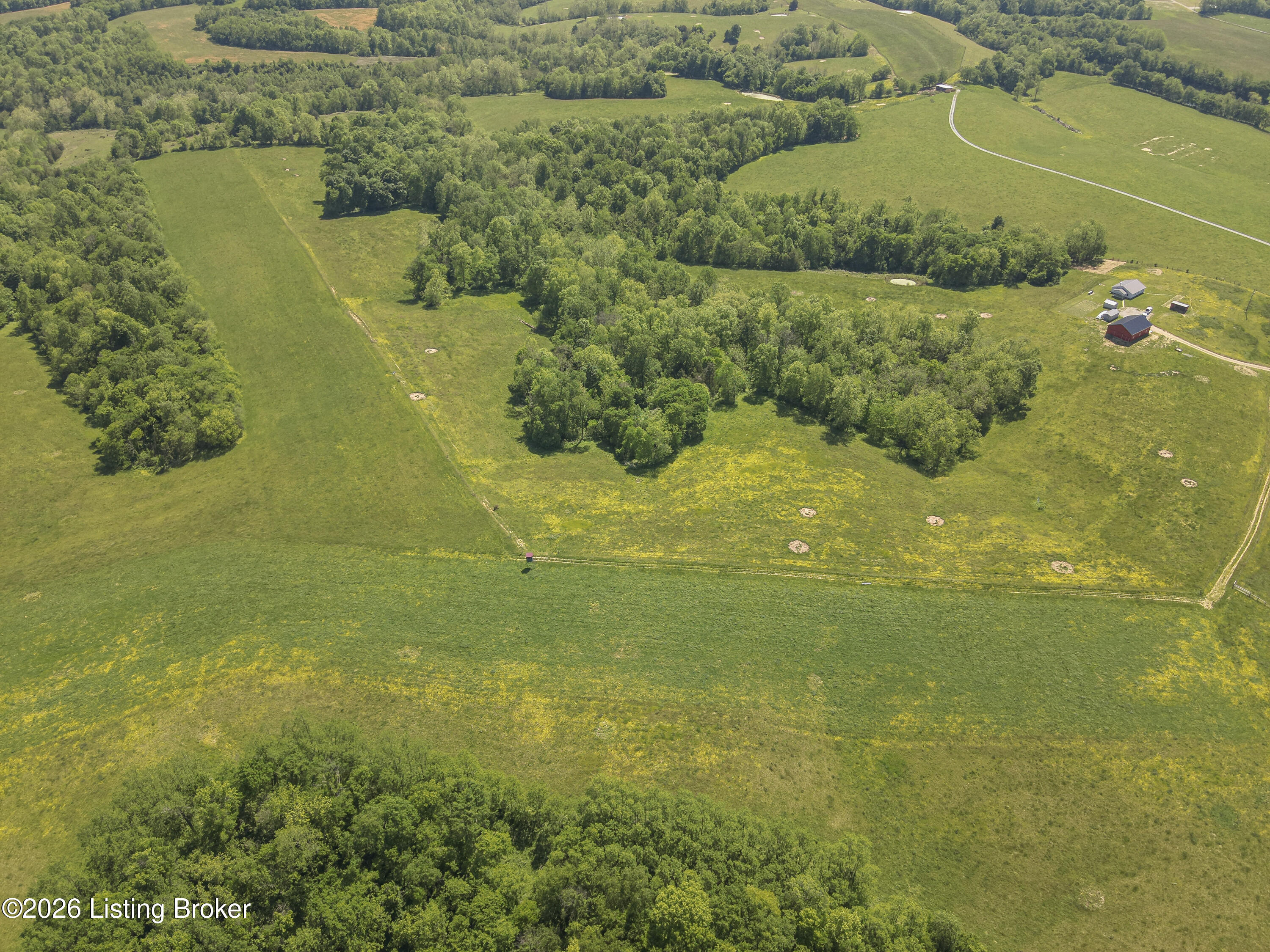 904 Lawrenceburg Rd Property Photo 25