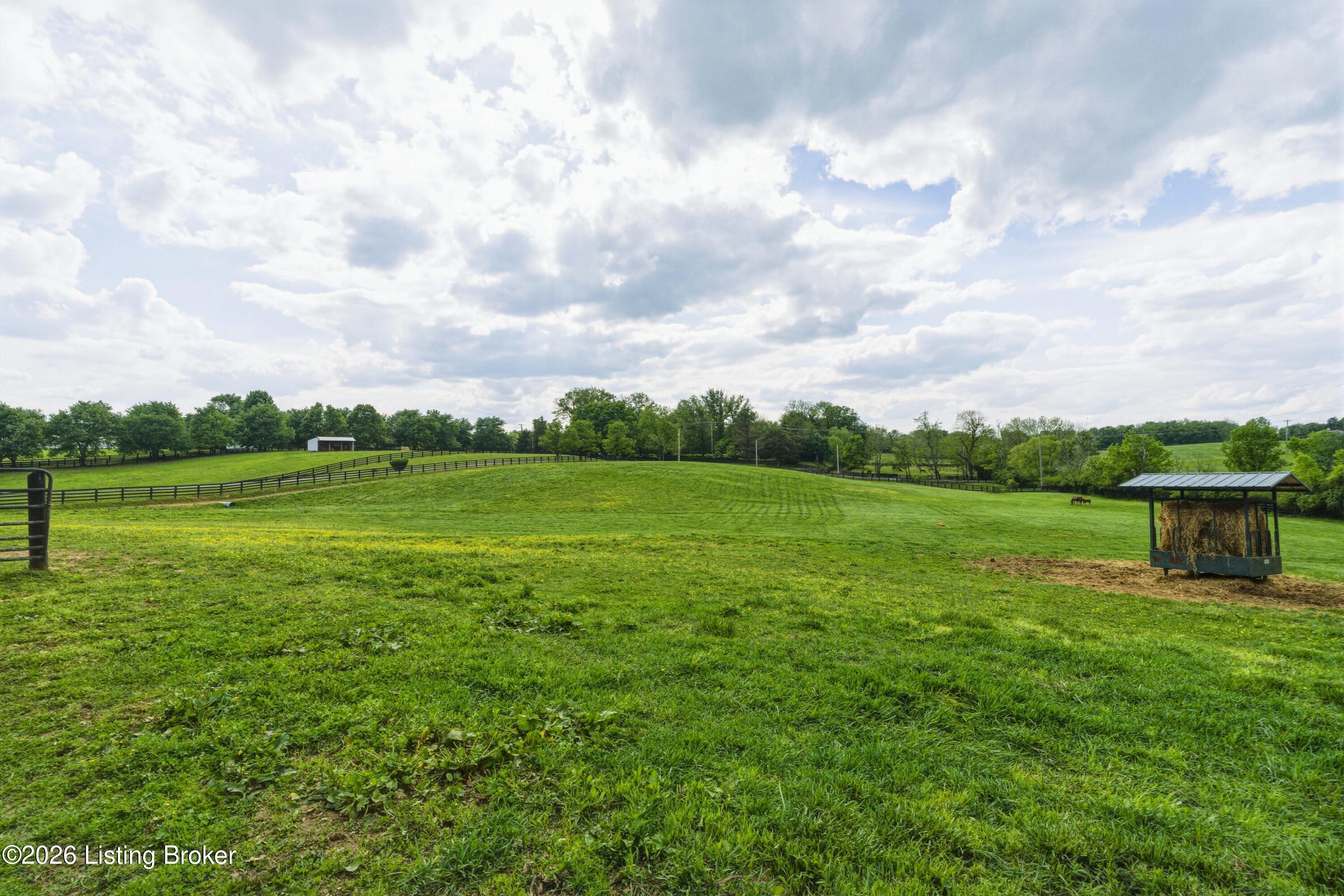 1460 Shannon Run Rd Property Photo 96