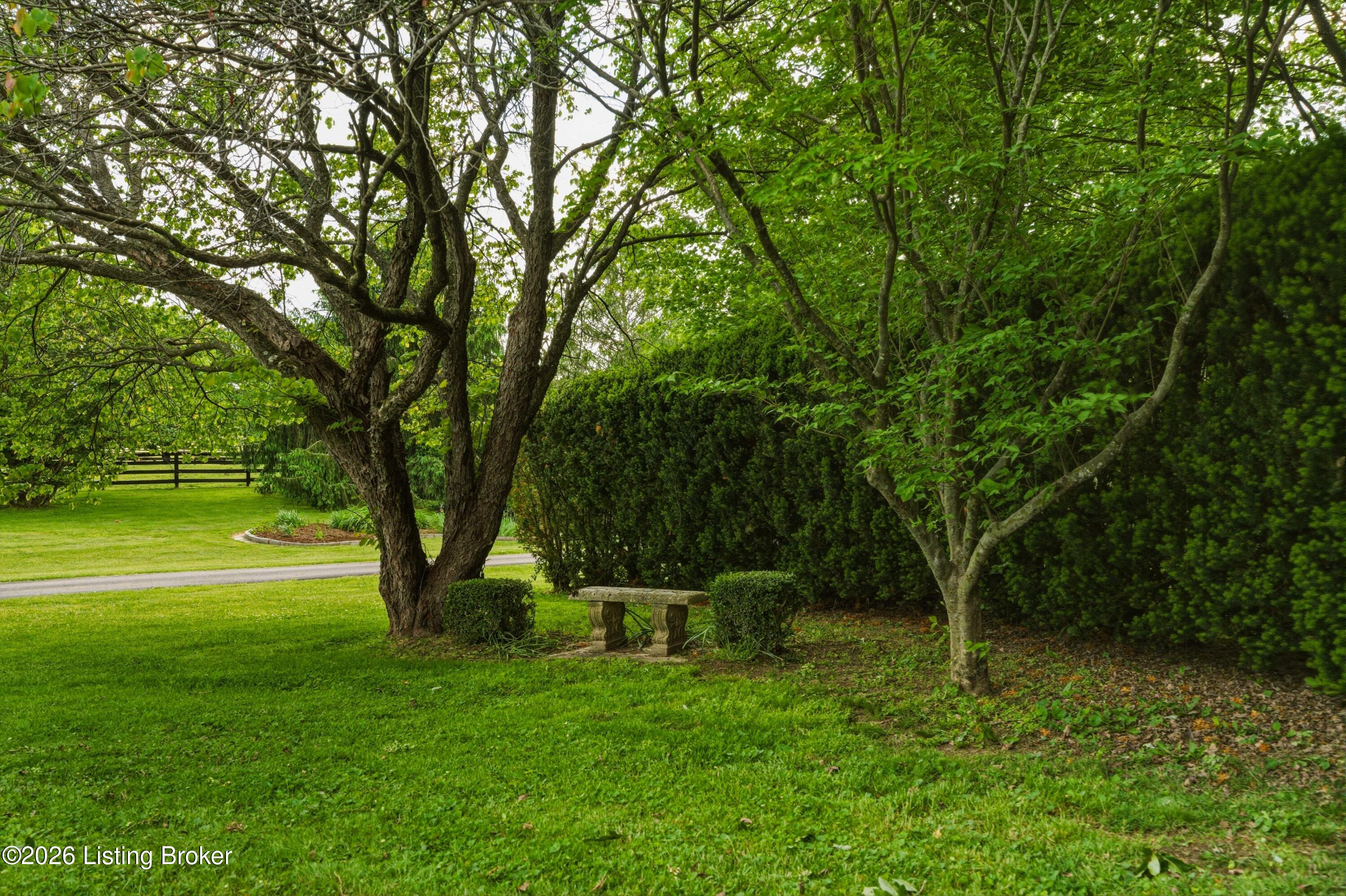 1460 Shannon Run Rd Property Photo 97