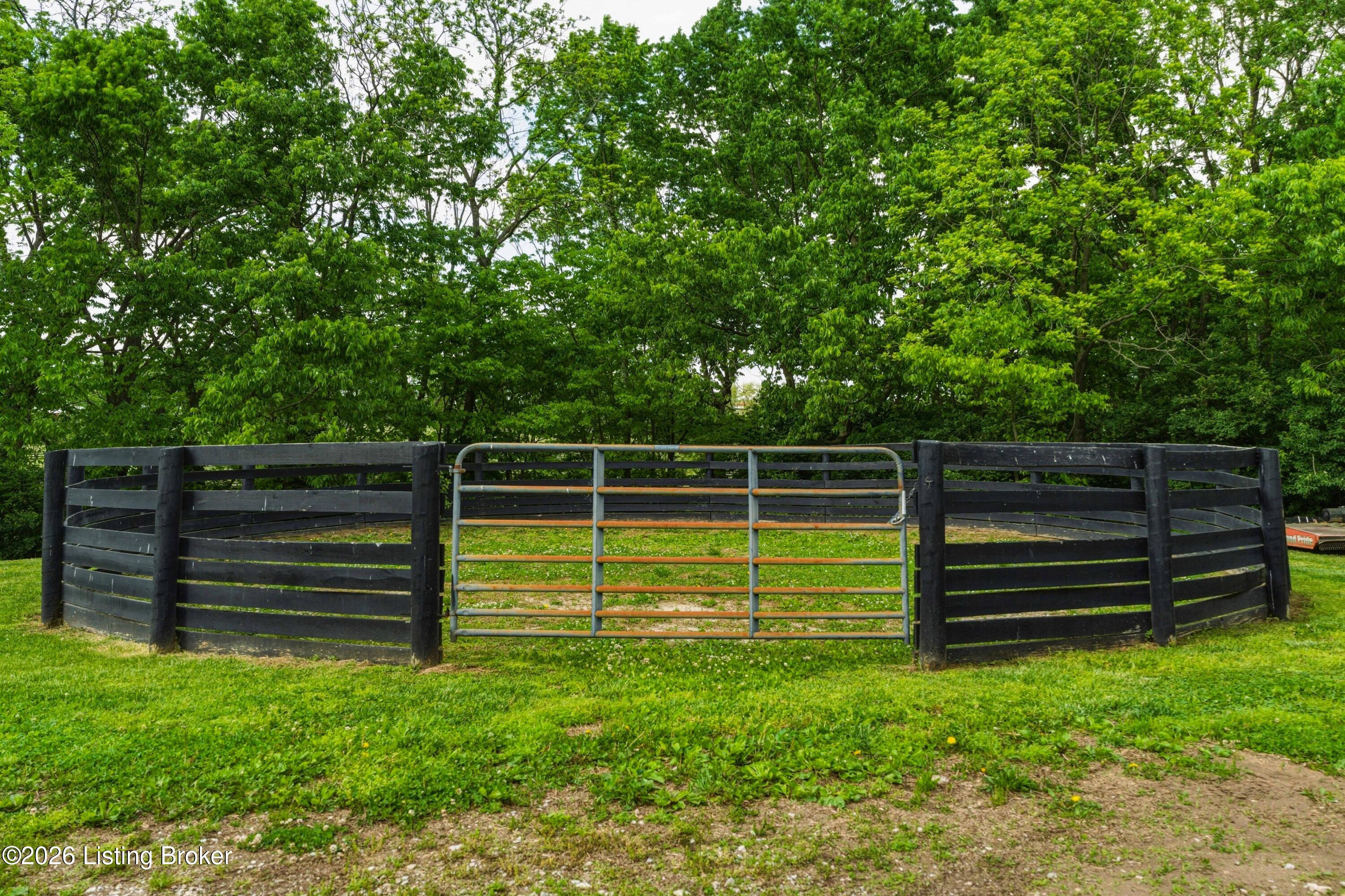 1460 Shannon Run Rd Property Photo 100