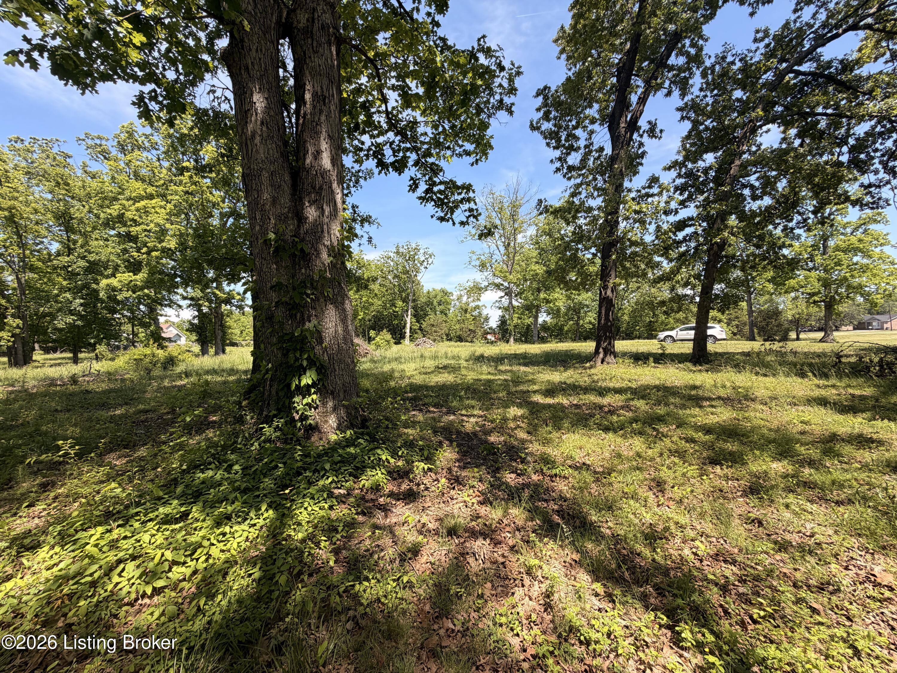 718 Beech Grove Rd Property Photo 3