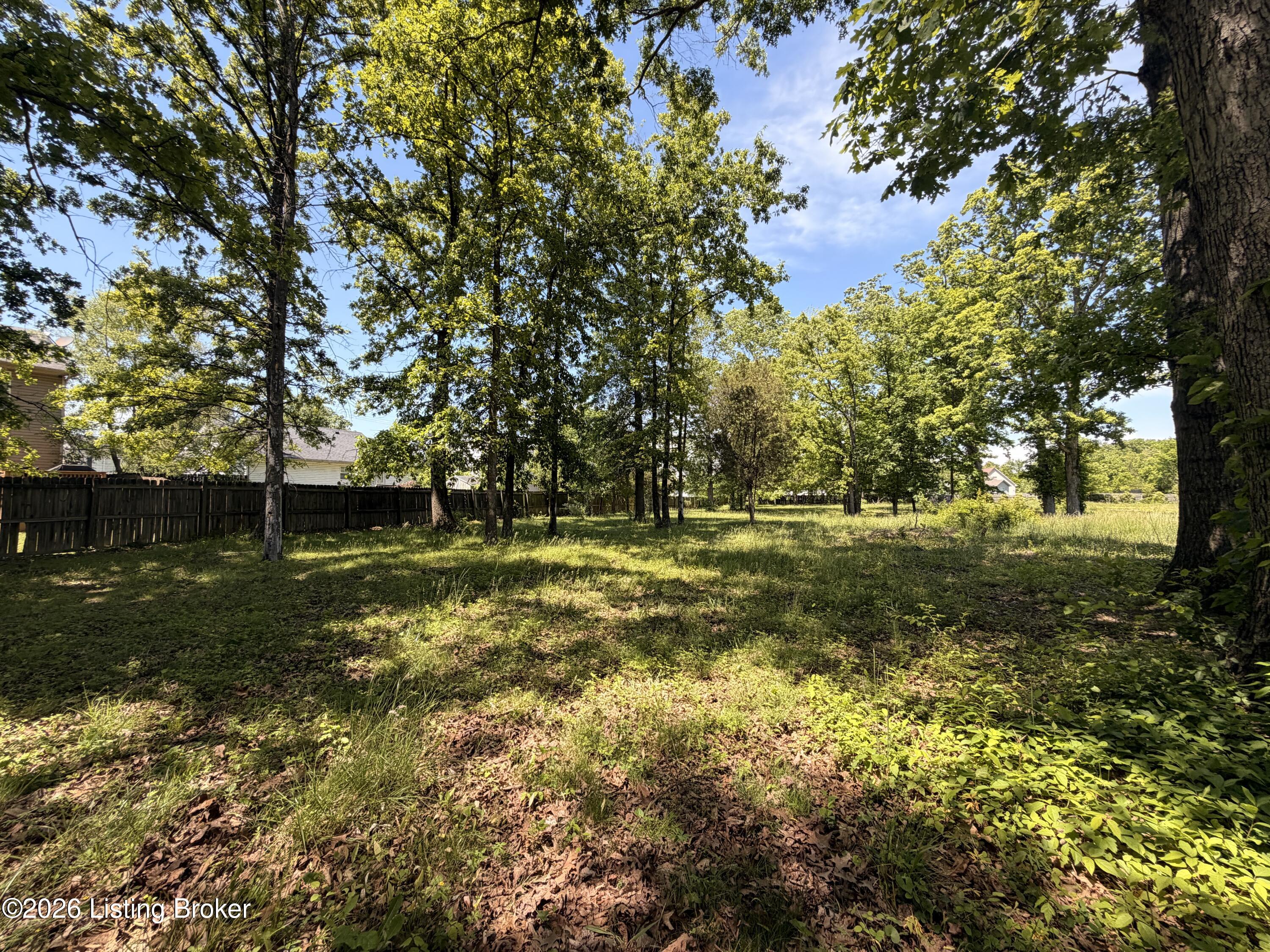 718 Beech Grove Rd Property Photo 5