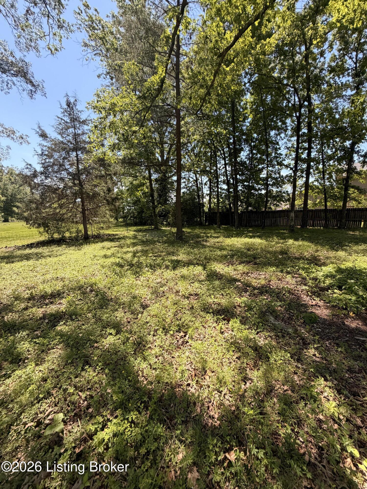 718 Beech Grove Rd Property Photo 6