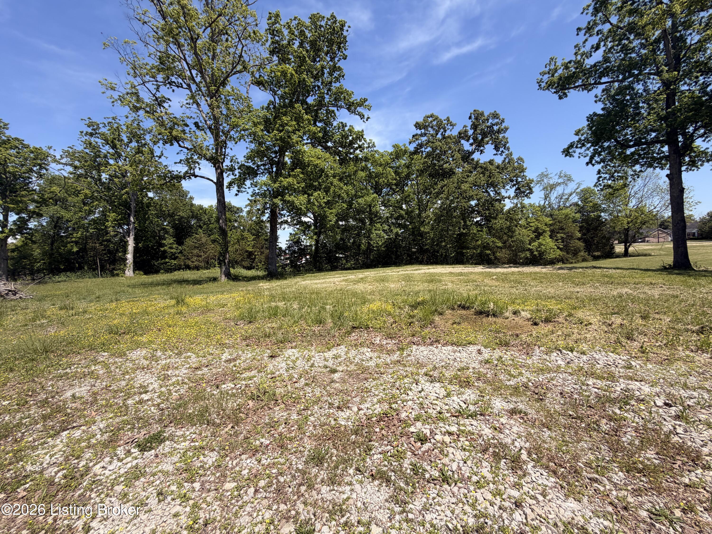 718 Beech Grove Rd Property Photo 10