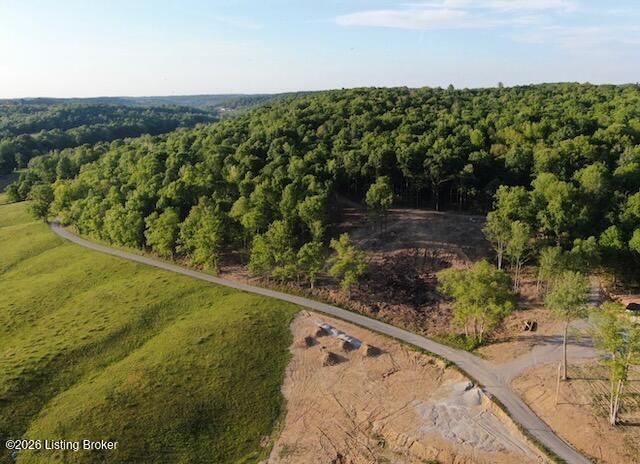 Lots 1-5 Bear Creek Rd Property Photo 1