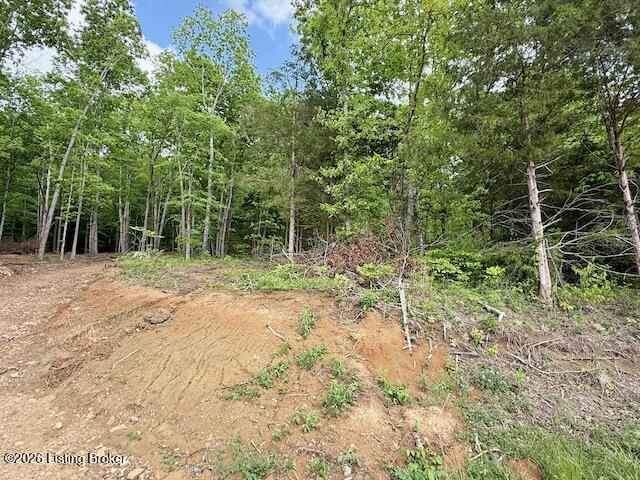 Lots 1-5 Bear Creek Rd Property Photo 4
