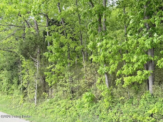 Lots 1-5 Bear Creek Rd Property Photo 5