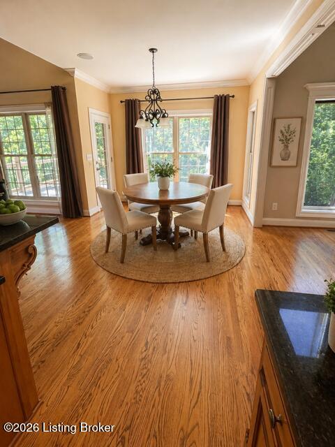 5510 Rock Valley Way Property Photo 15