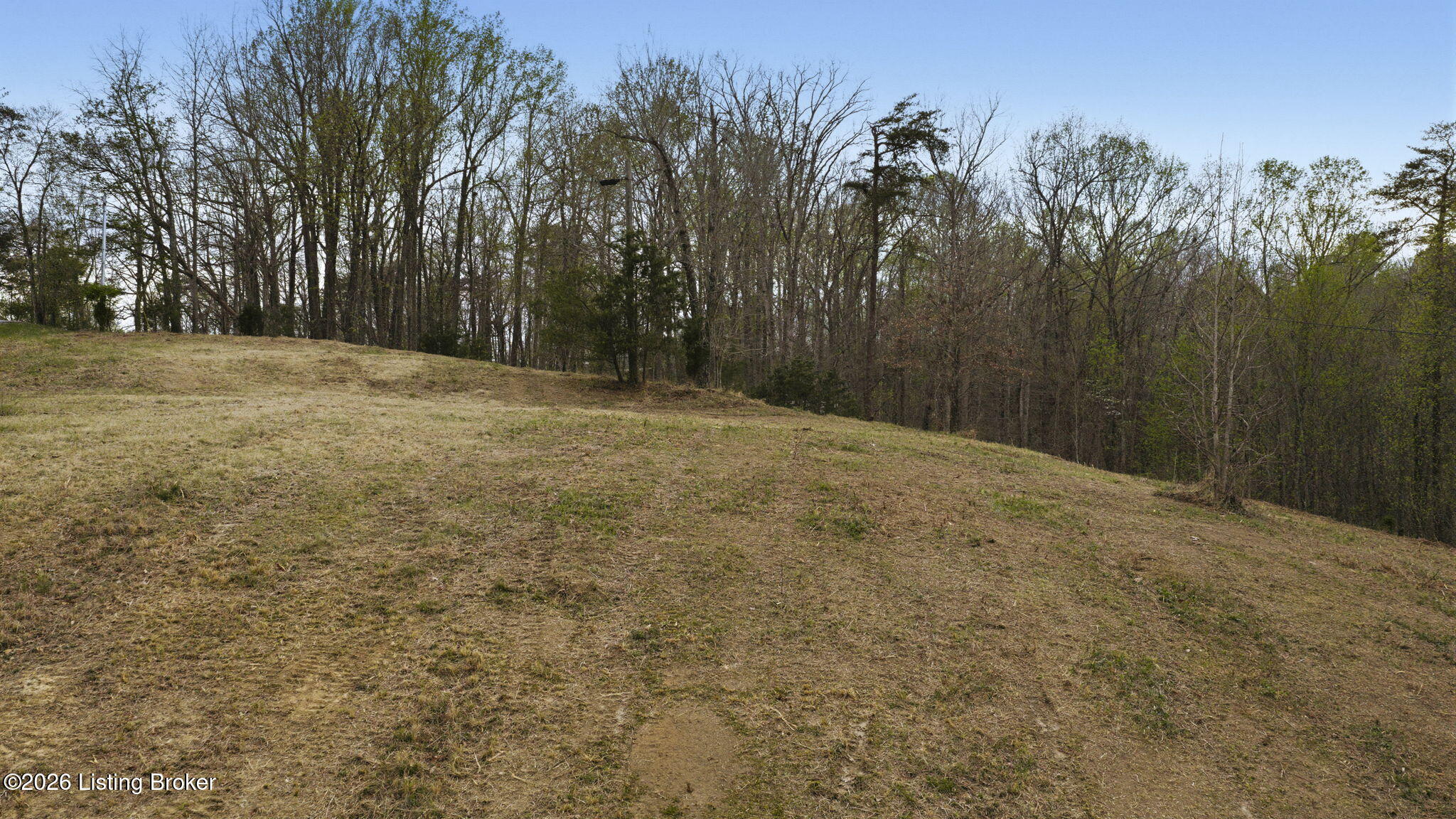 860 Noah Stevenson Rd Property Photo 6