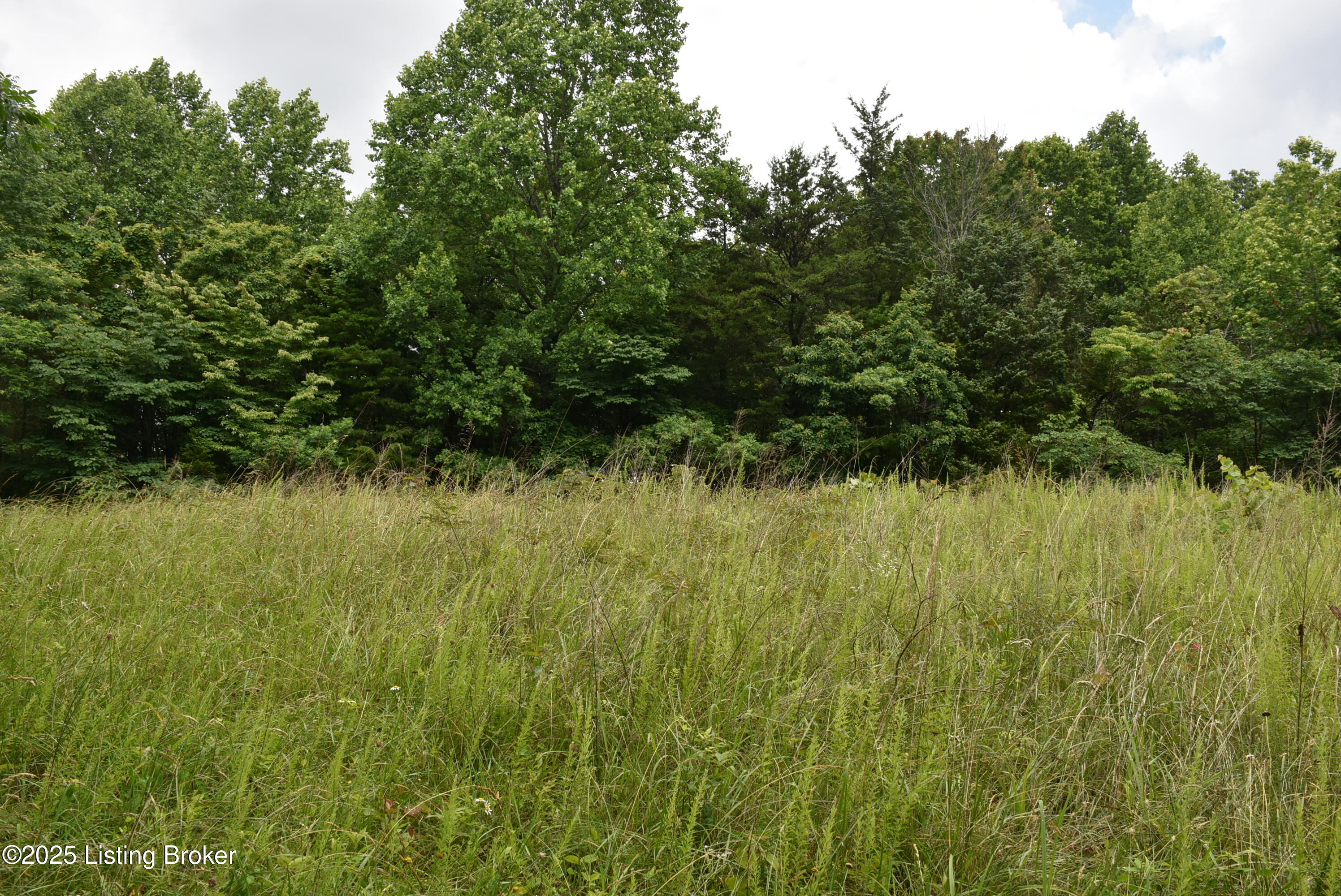 2805 Columbia Rd Property Photo 17