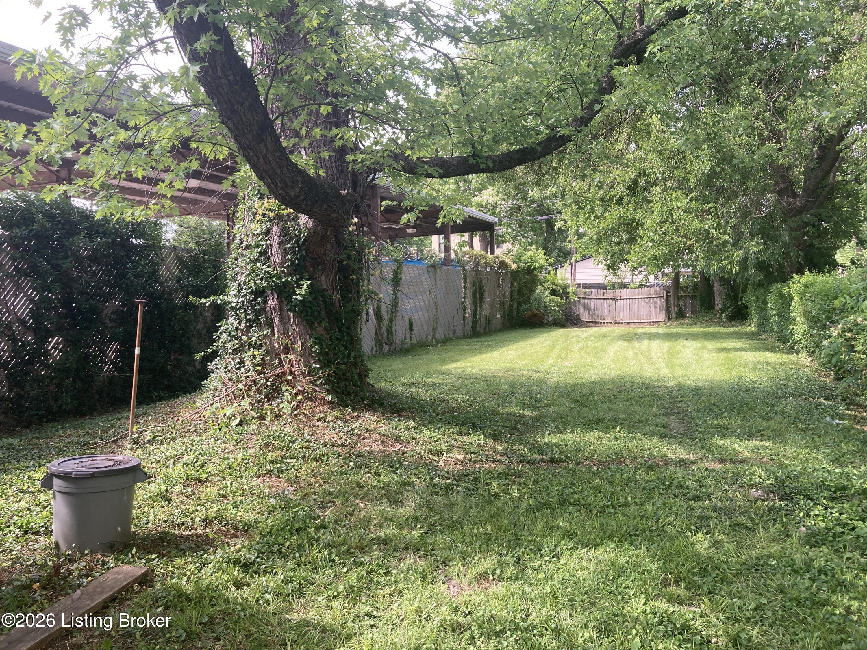 2519 Magazine St Property Photo 30