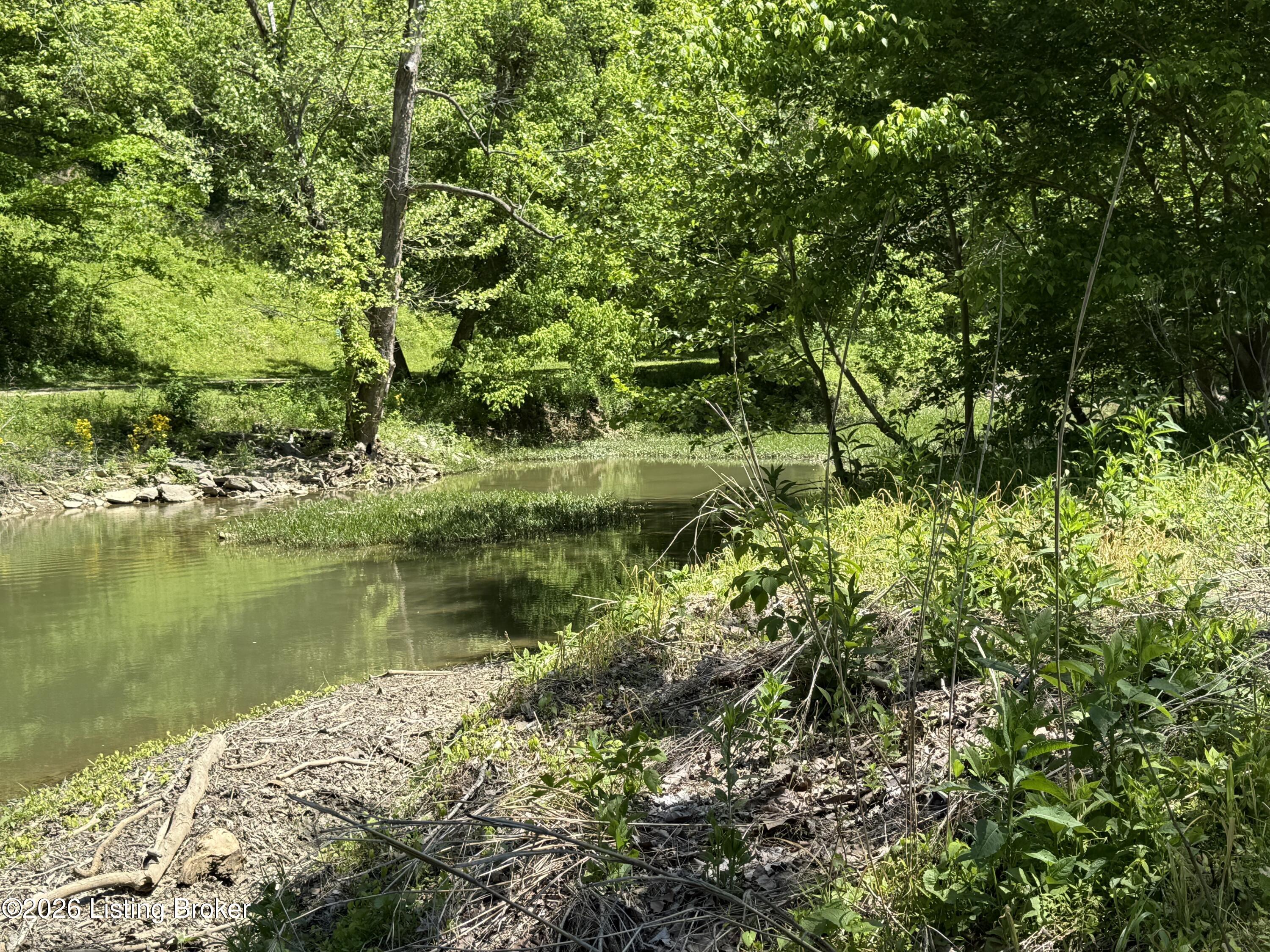 Tract 3&4 Pea Ridge Rd Property Photo 4
