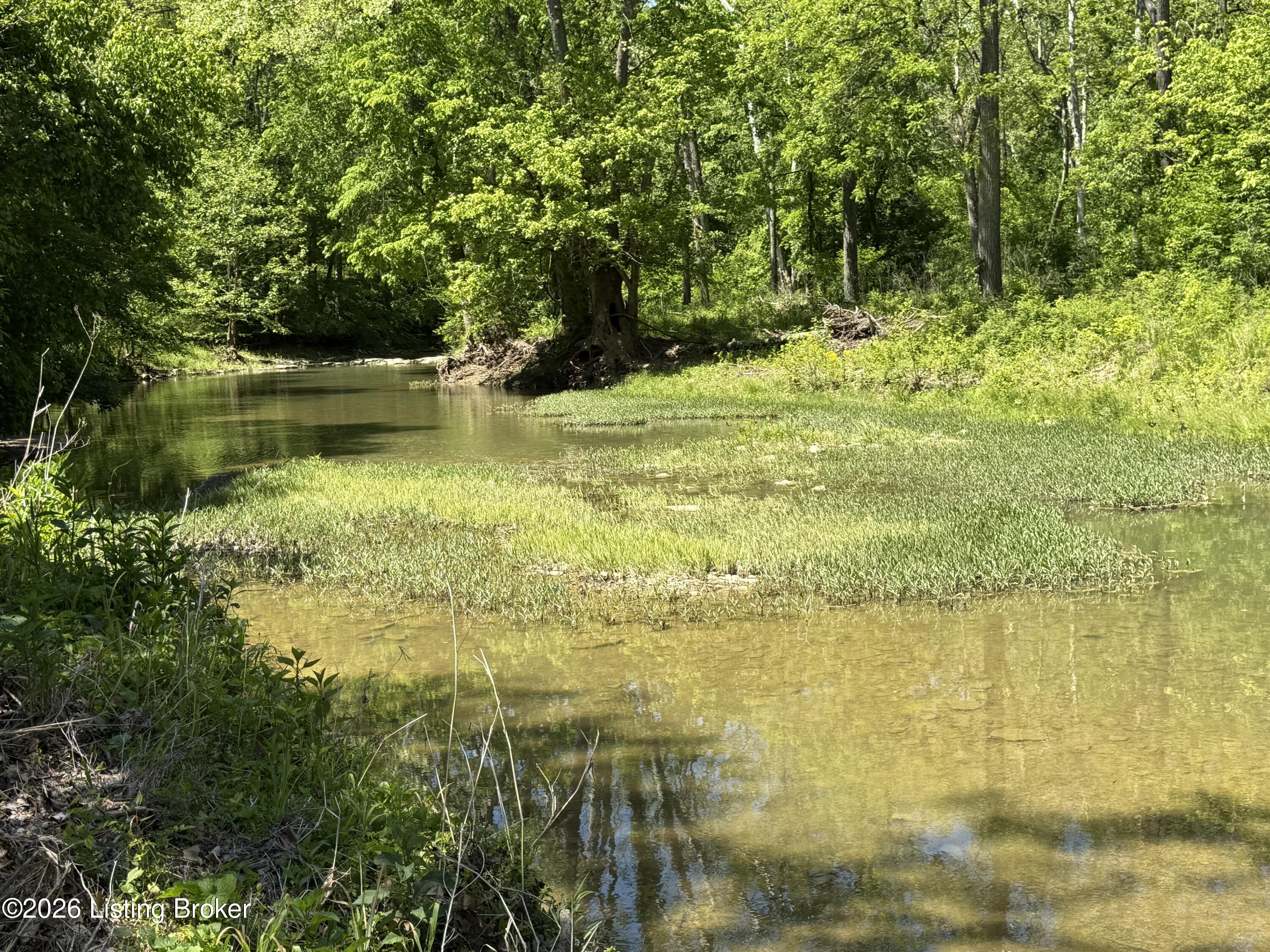 Tract 3&4 Pea Ridge Rd Property Photo 5