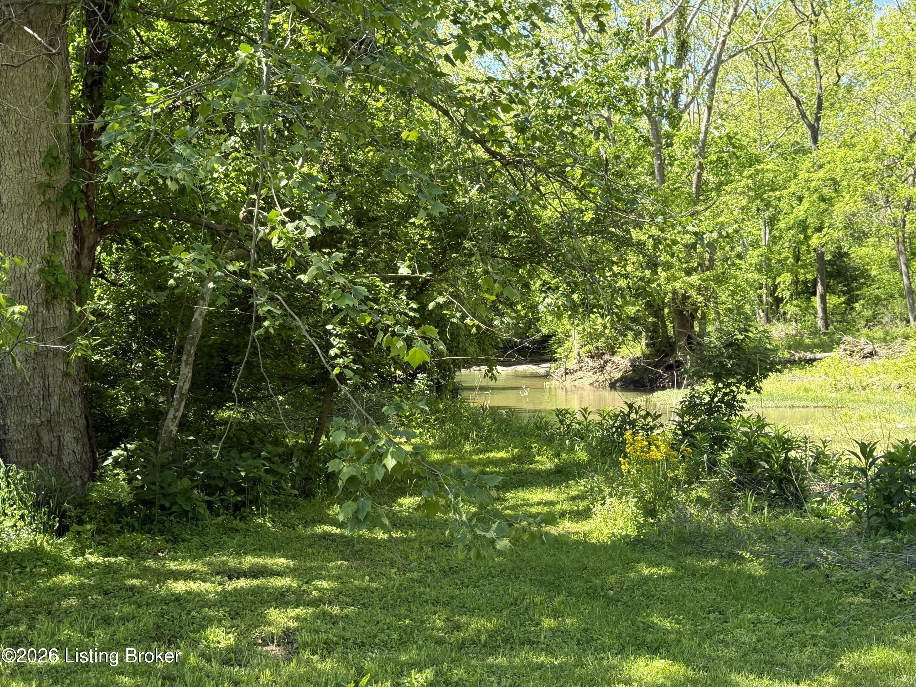 Tract 3&4 Pea Ridge Rd Property Photo 8