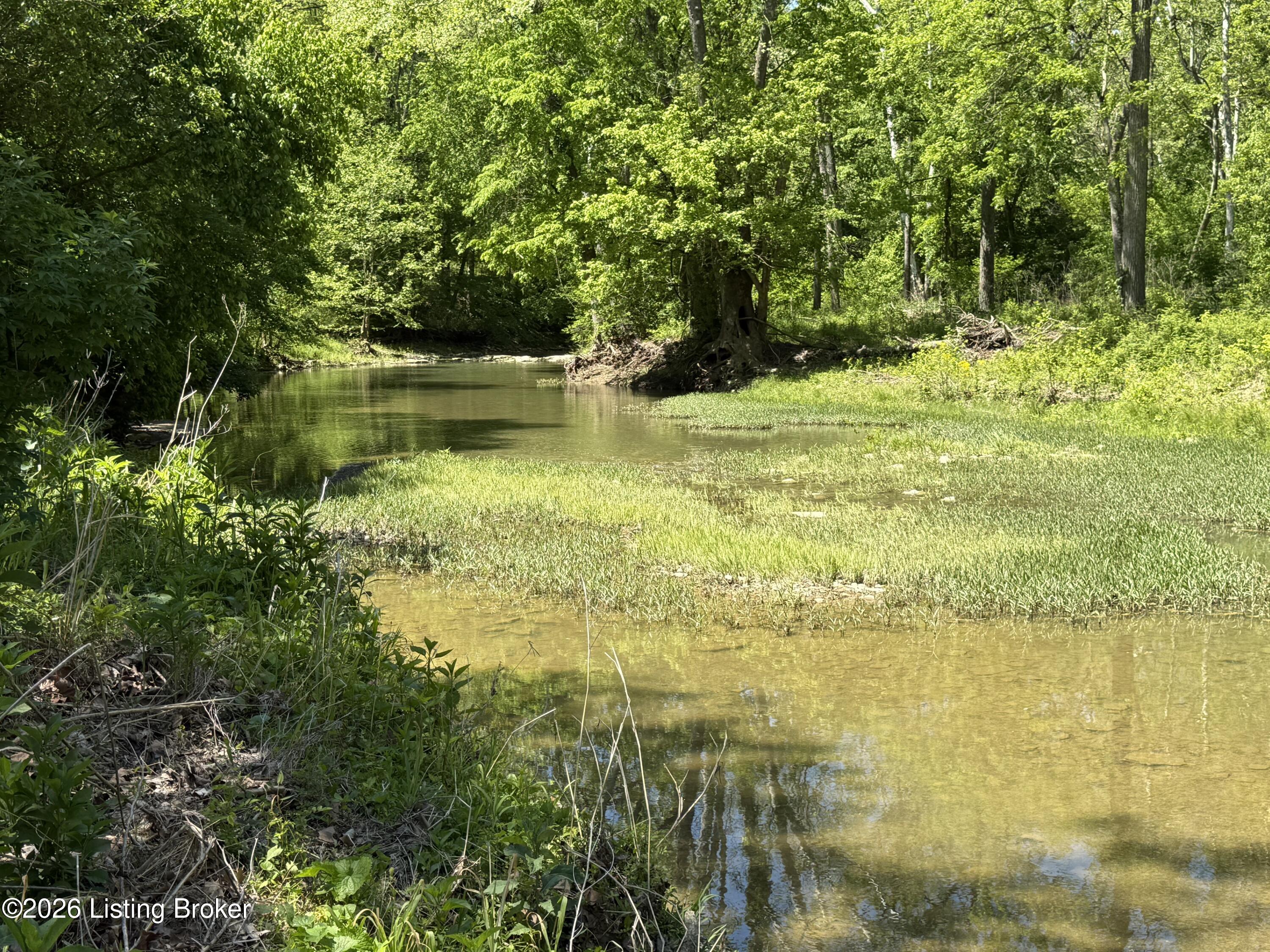 Tract 3&4 Pea Ridge Rd Property Photo 10