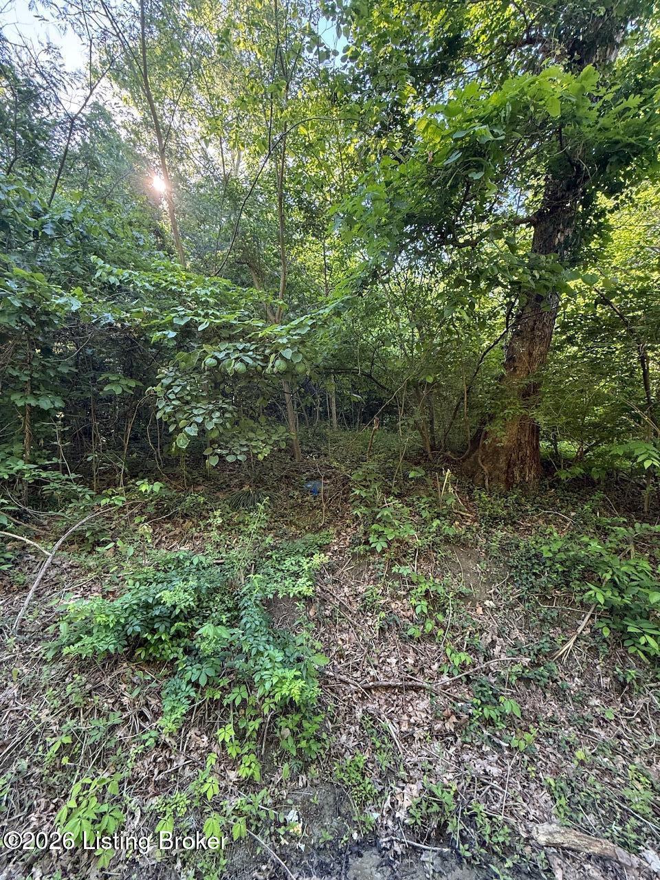 2502 Blevins Gap Rd Property Photo 1