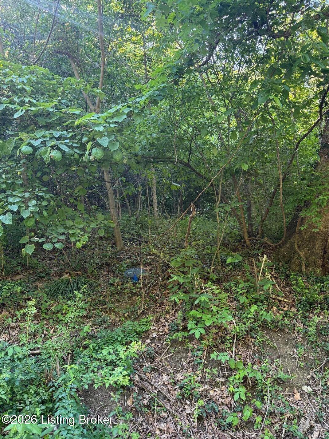 2502 Blevins Gap Rd Property Photo 2