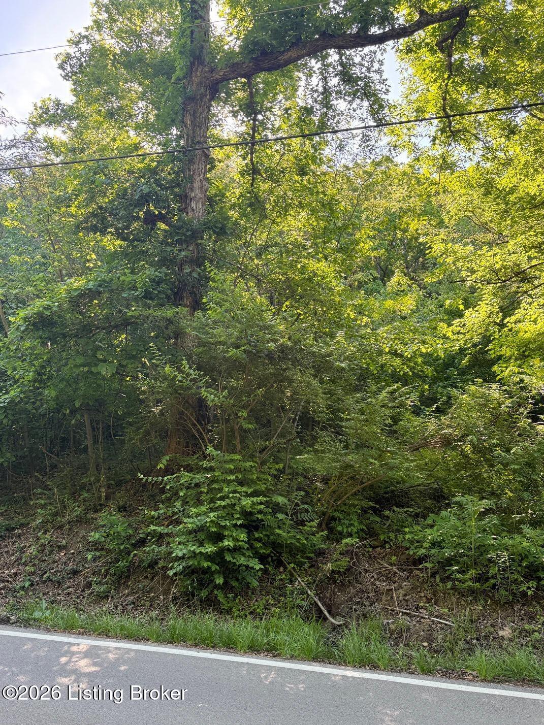 2502 Blevins Gap Rd Property Photo 5