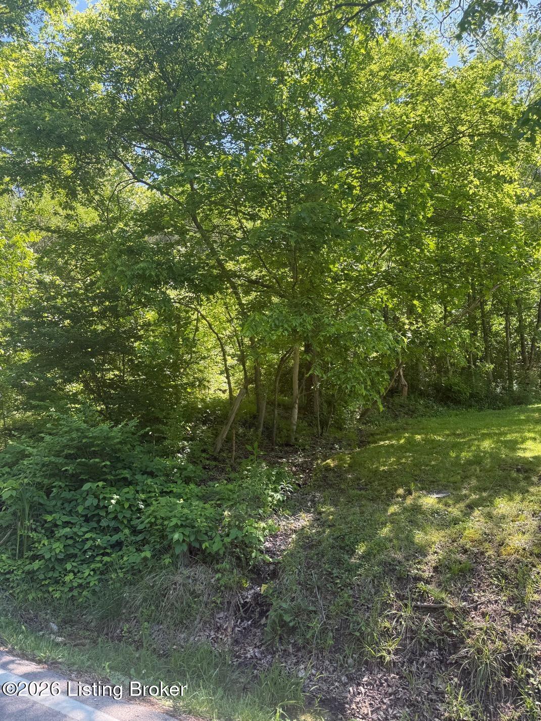 2502 Blevins Gap Rd Property Photo 10