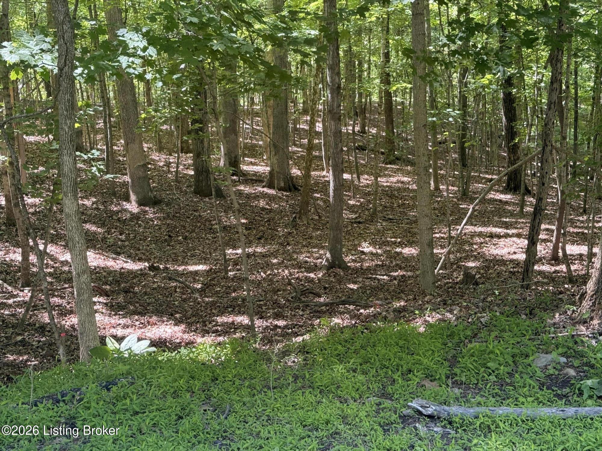 Lot 569 Raspberry Ct Property Photo 1