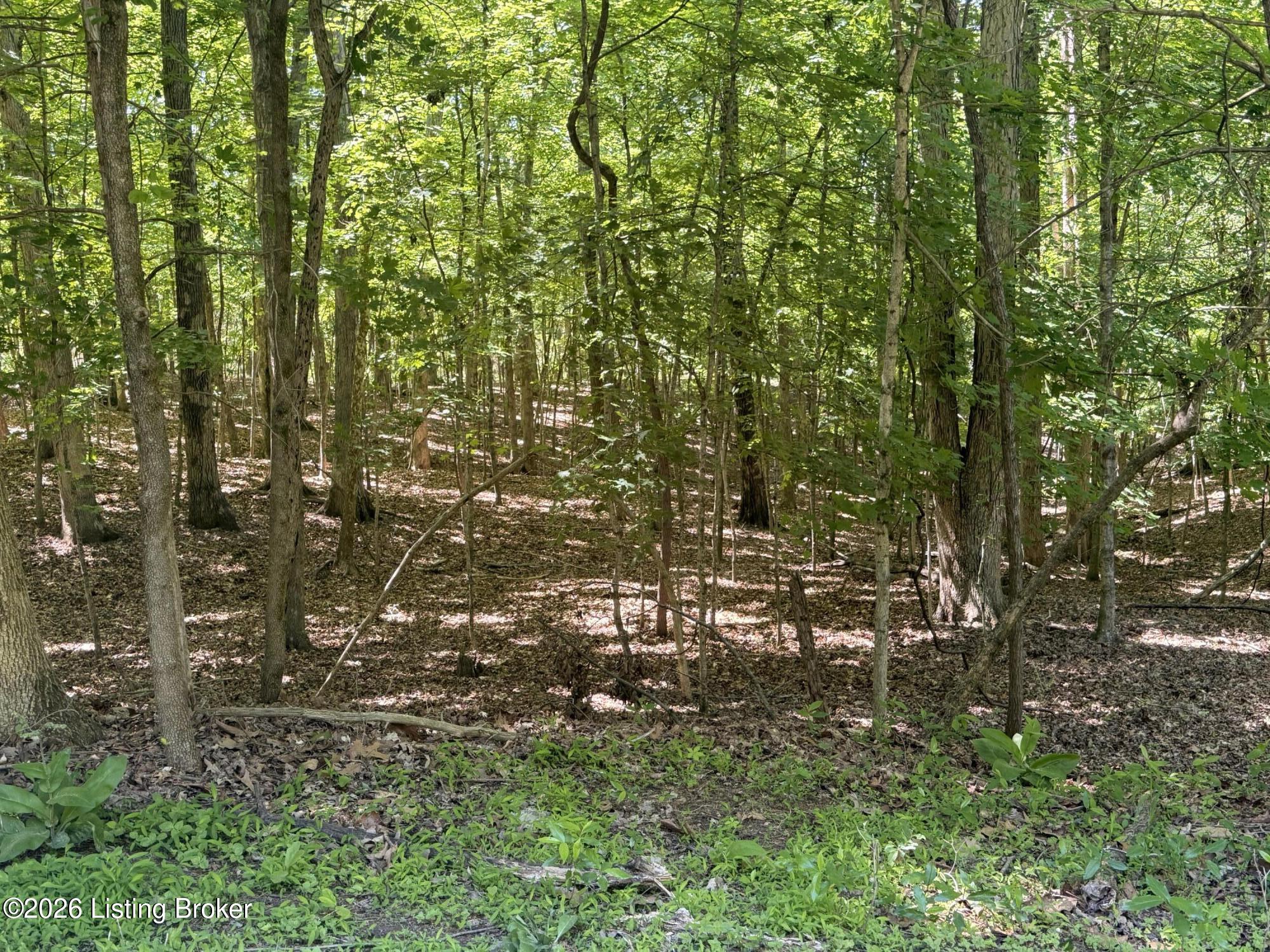 Lot 569 Raspberry Ct Property Photo 2