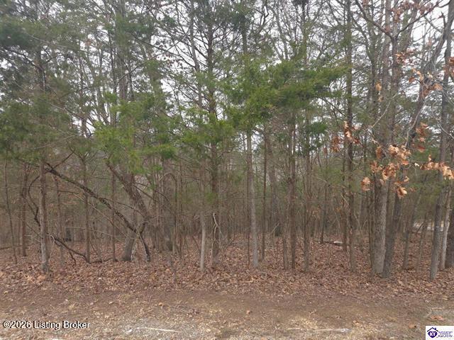 137 Primrose Ln Property Photo 2