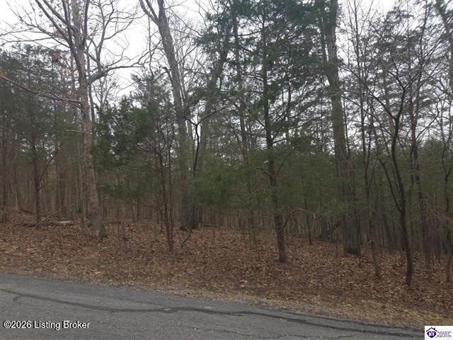 137 Primrose Ln Property Photo 3