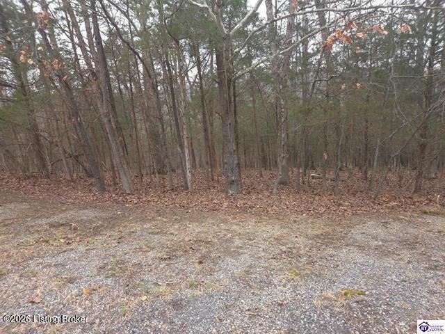 137 Primrose Ln Property Photo 4