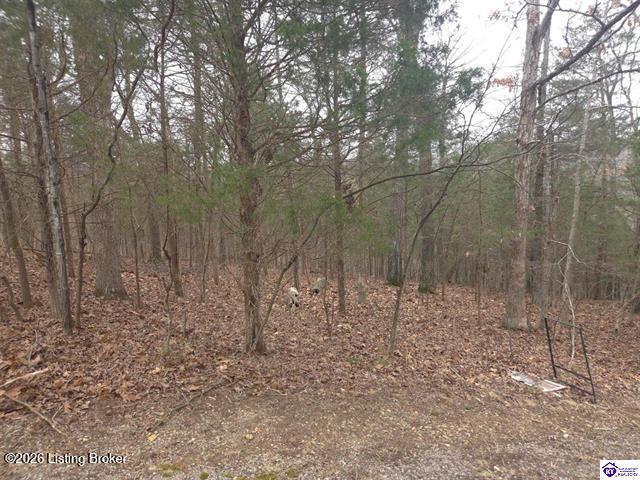 137 Primrose Ln Property Photo 7