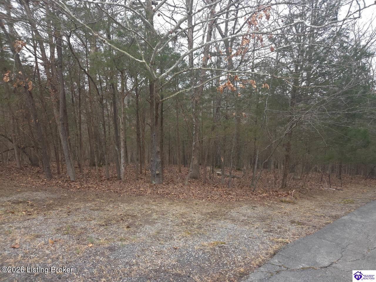137 Primrose Ln Property Photo 8