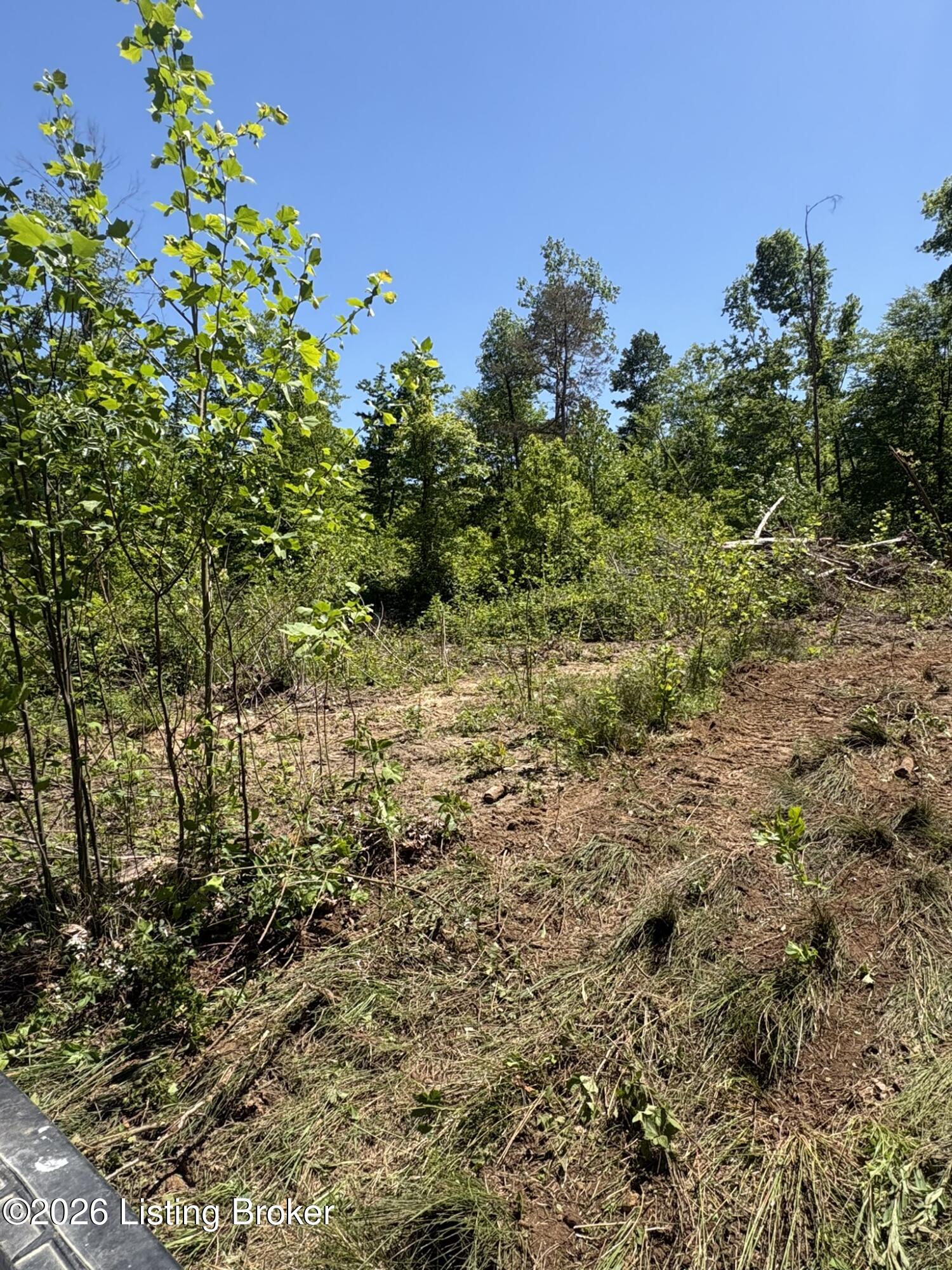 89 Ac Cub Run Rd Property Photo 7
