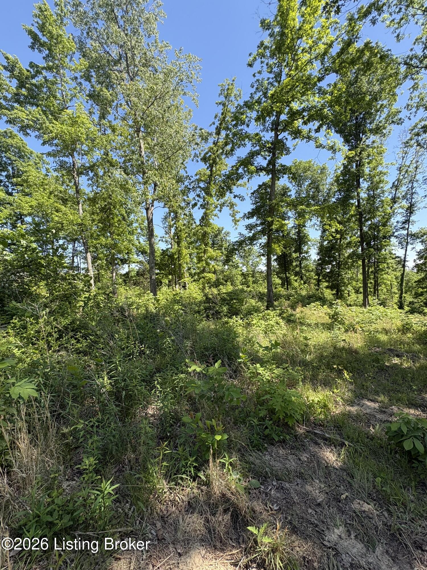 89 Ac Cub Run Rd Property Photo 8