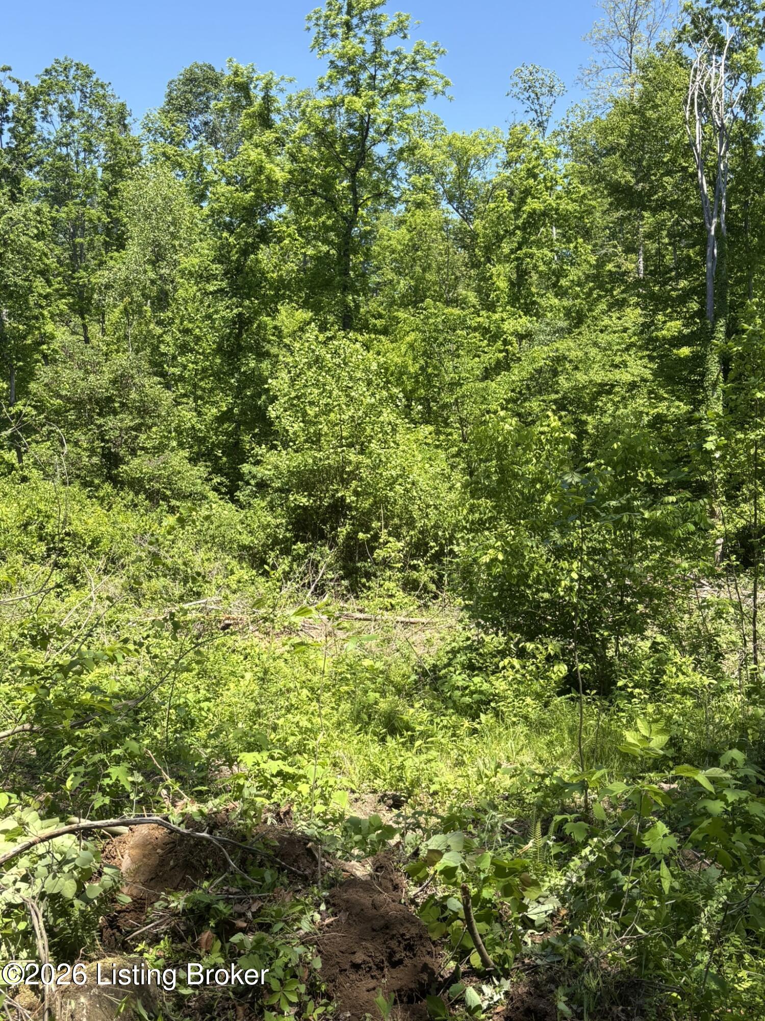 89 Ac Cub Run Rd Property Photo 9