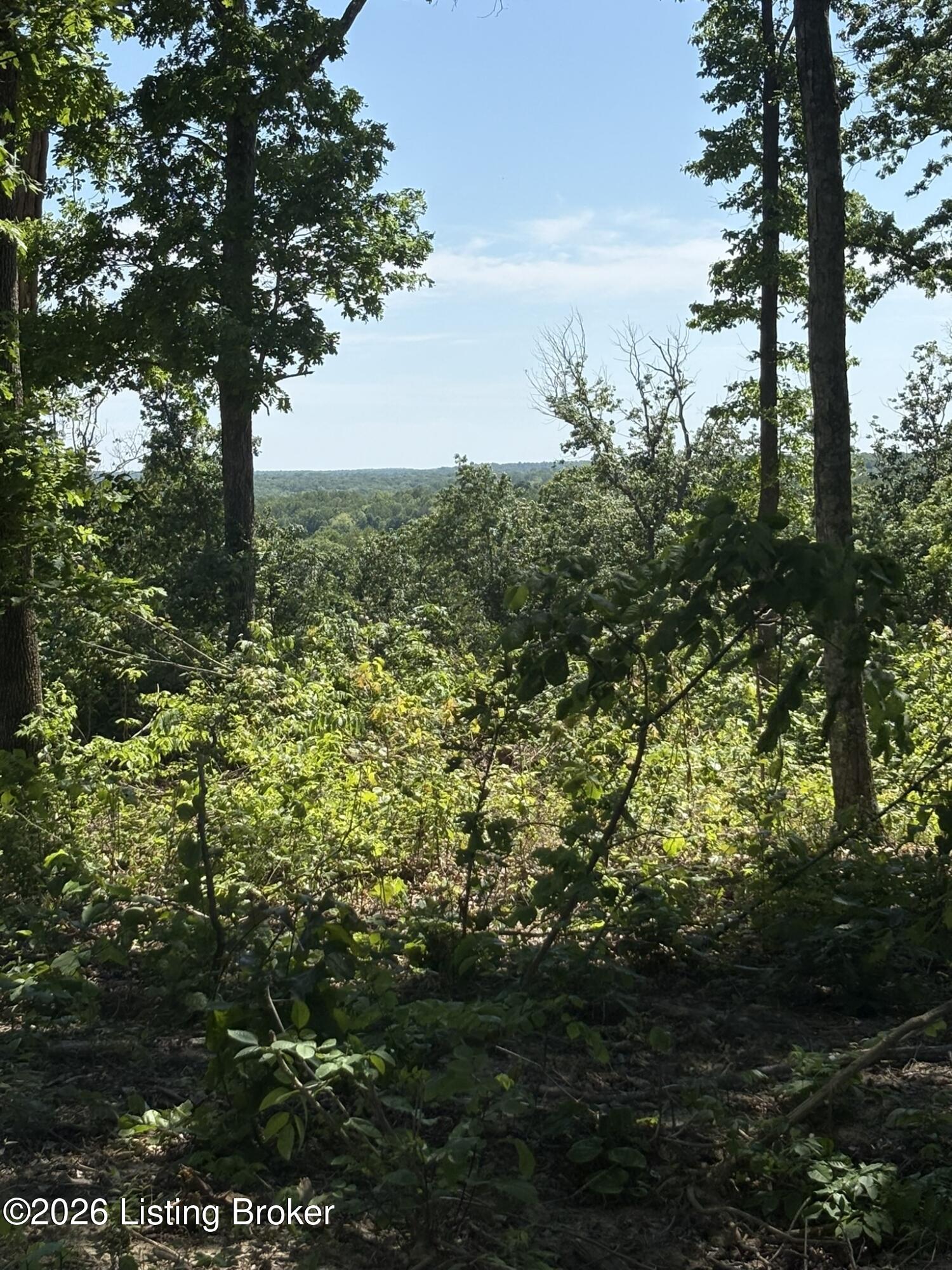 89 Ac Cub Run Rd Property Photo 10
