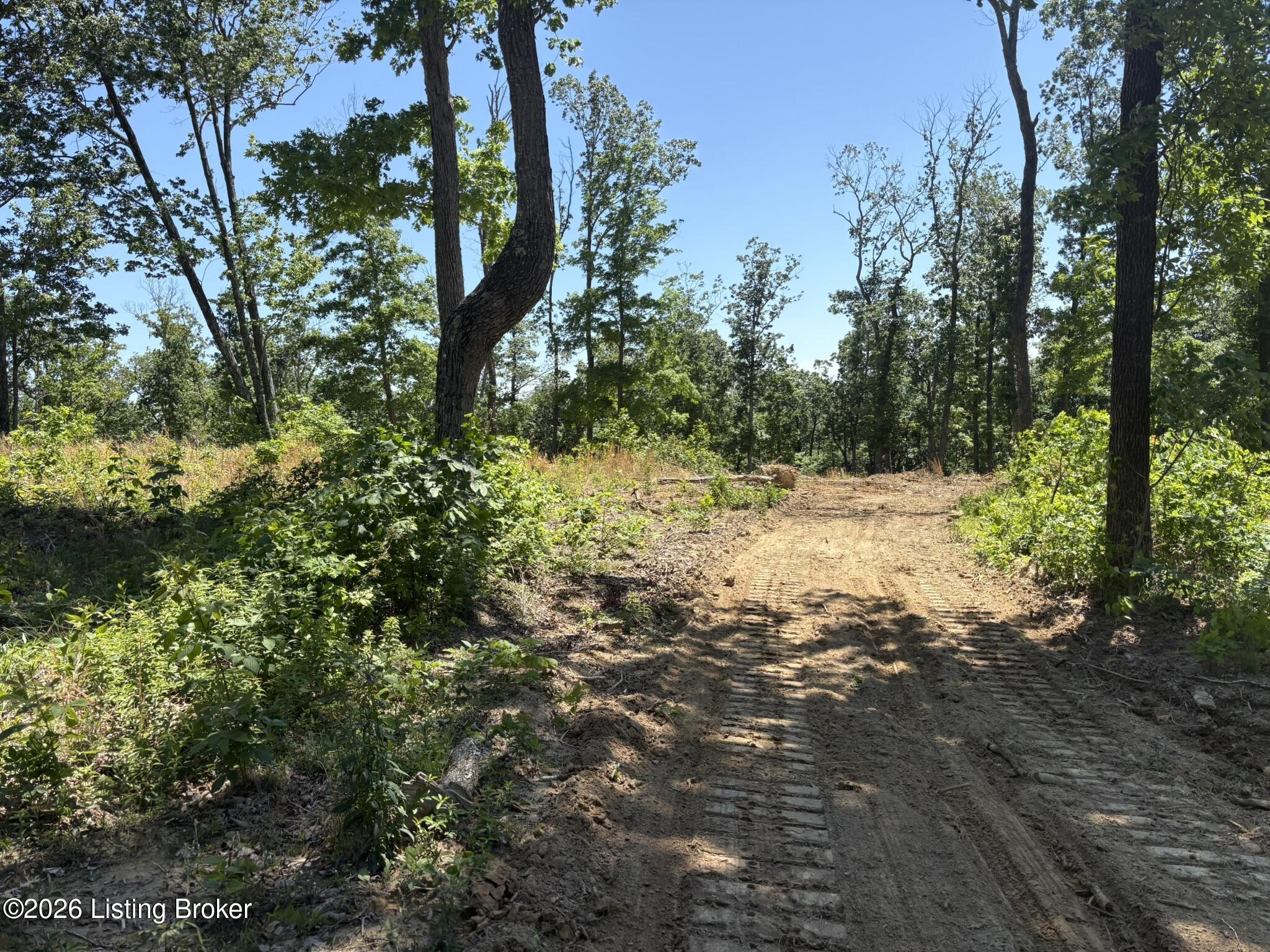 89 Ac Cub Run Rd Property Photo 11
