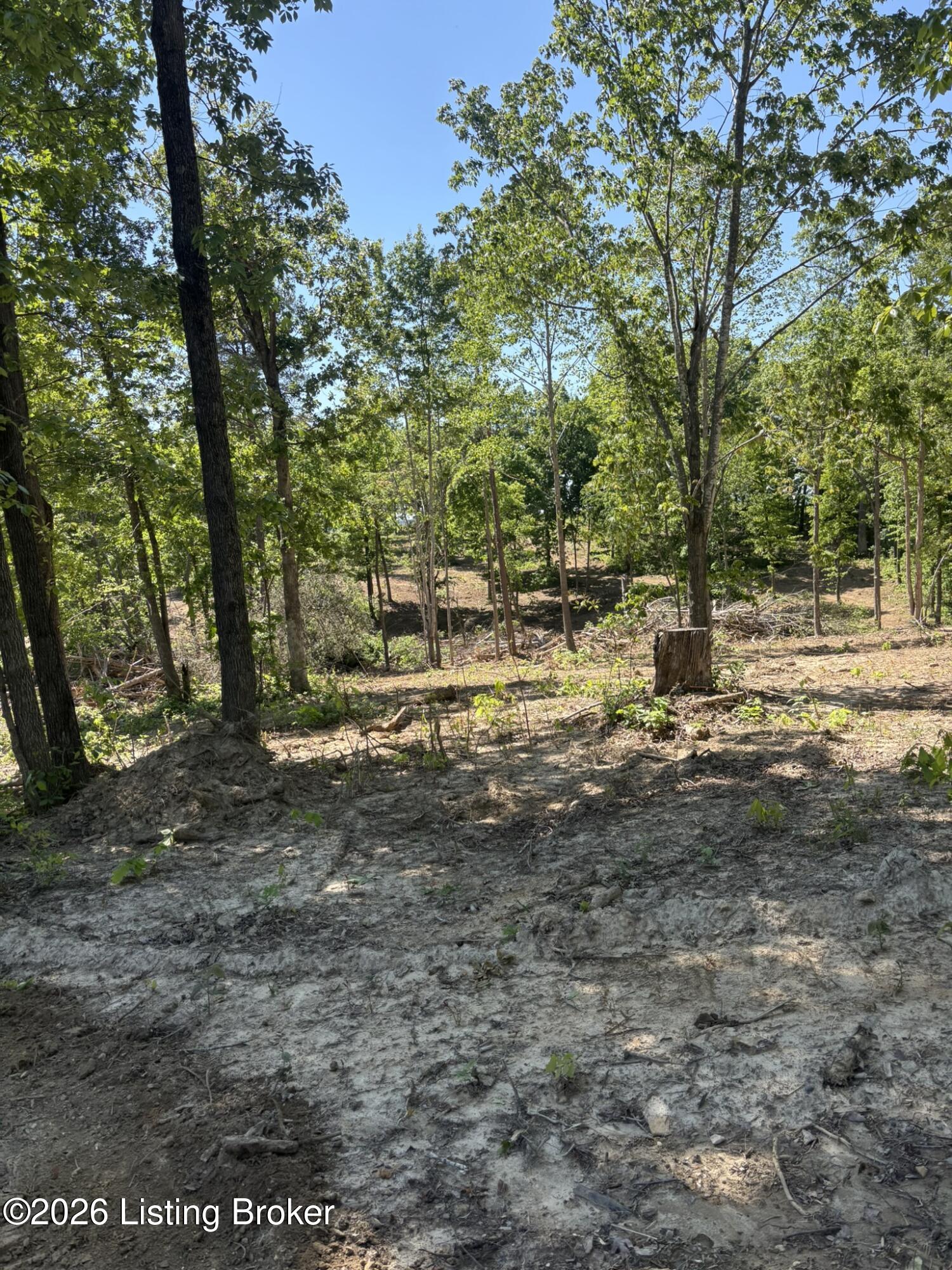 89 Ac Cub Run Rd Property Photo 12