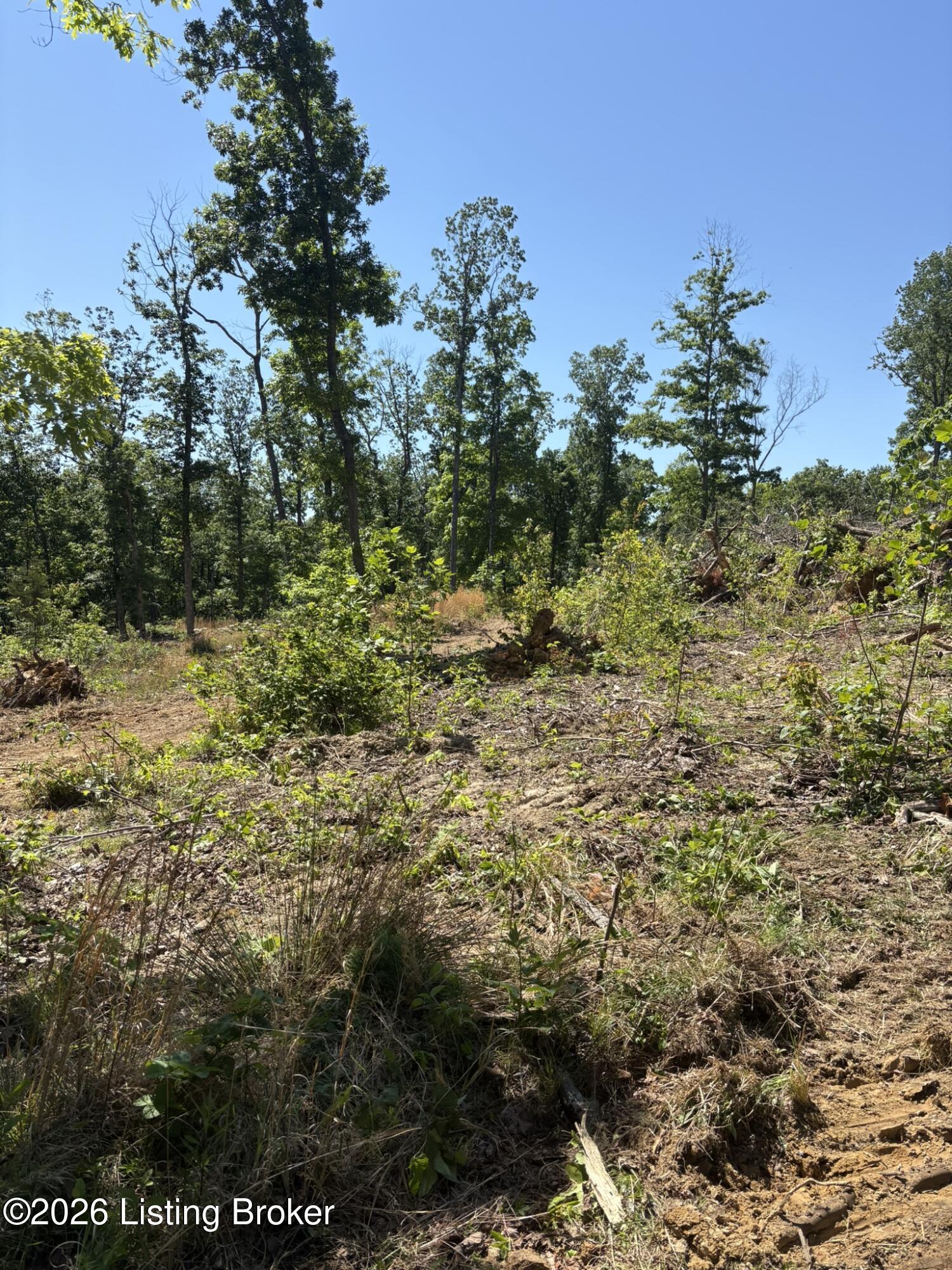 89 Ac Cub Run Rd Property Photo 15