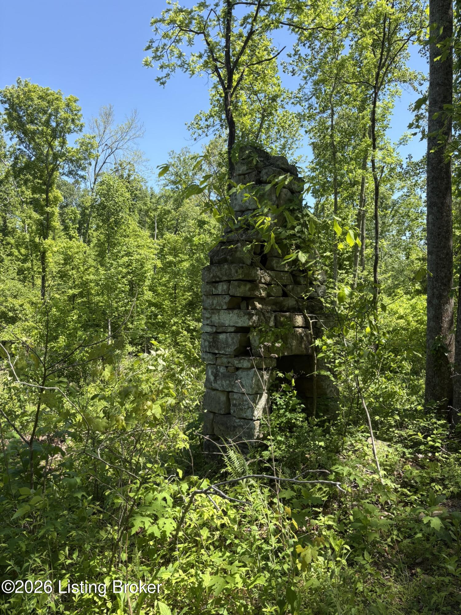 89 Ac Cub Run Rd Property Photo 16