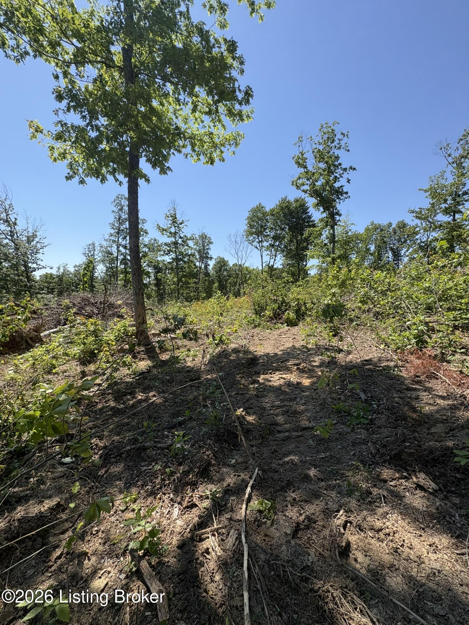 89 Ac Cub Run Rd Property Photo 17