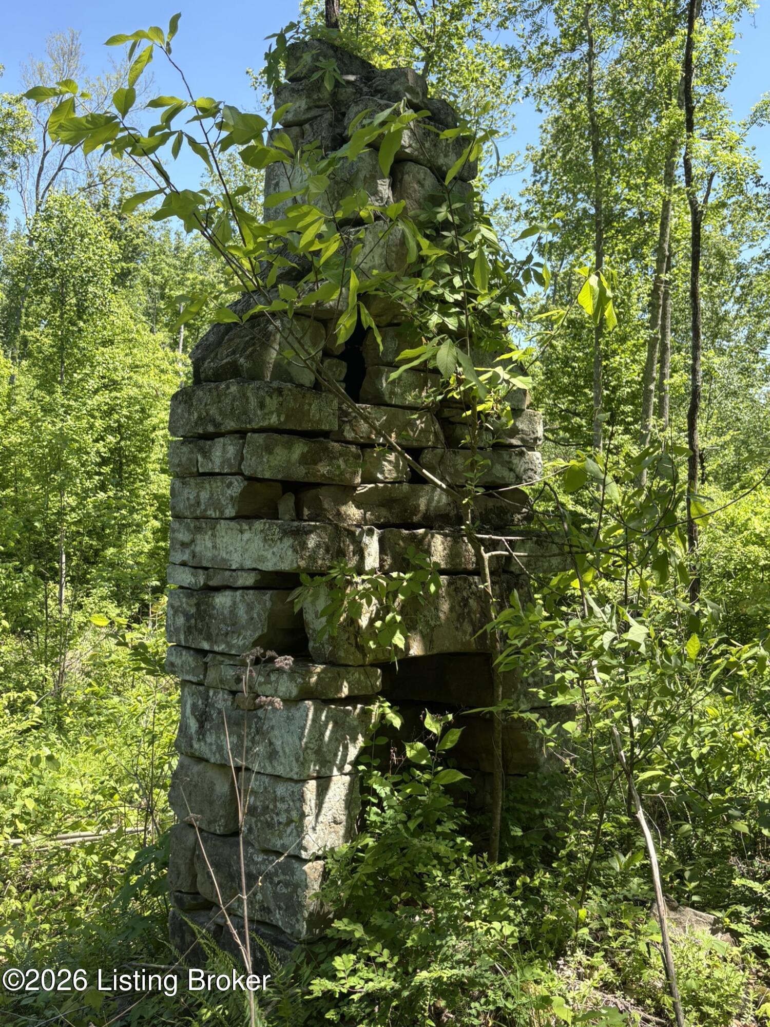 89 Ac Cub Run Rd Property Photo 18