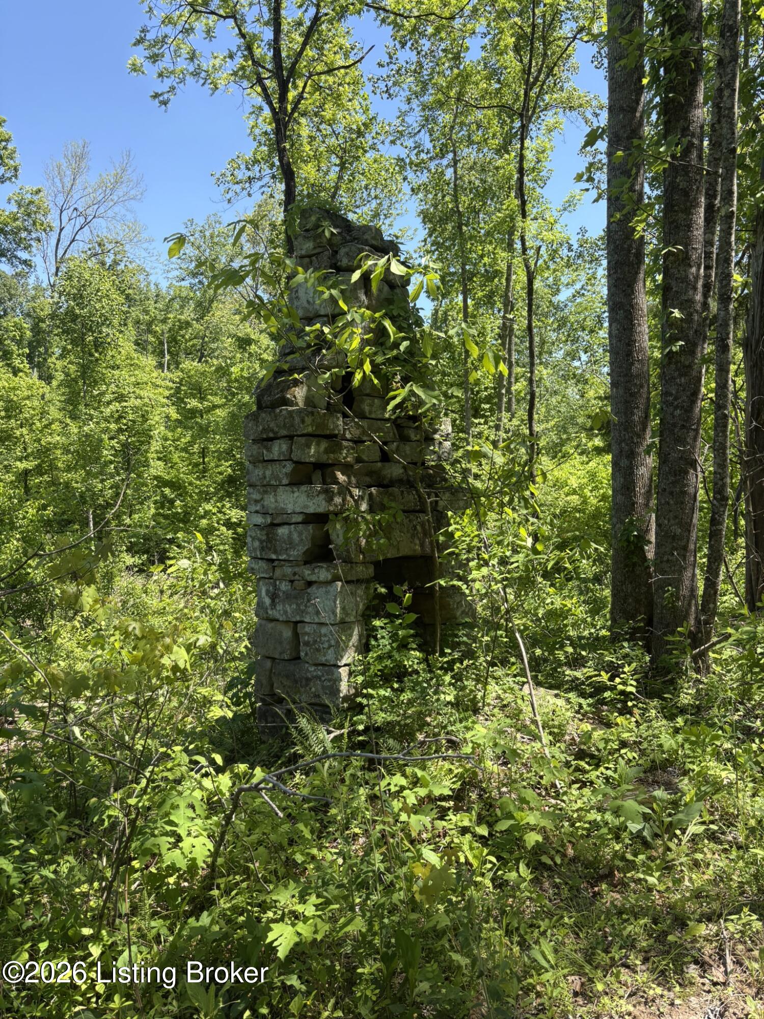 89 Ac Cub Run Rd Property Photo 19