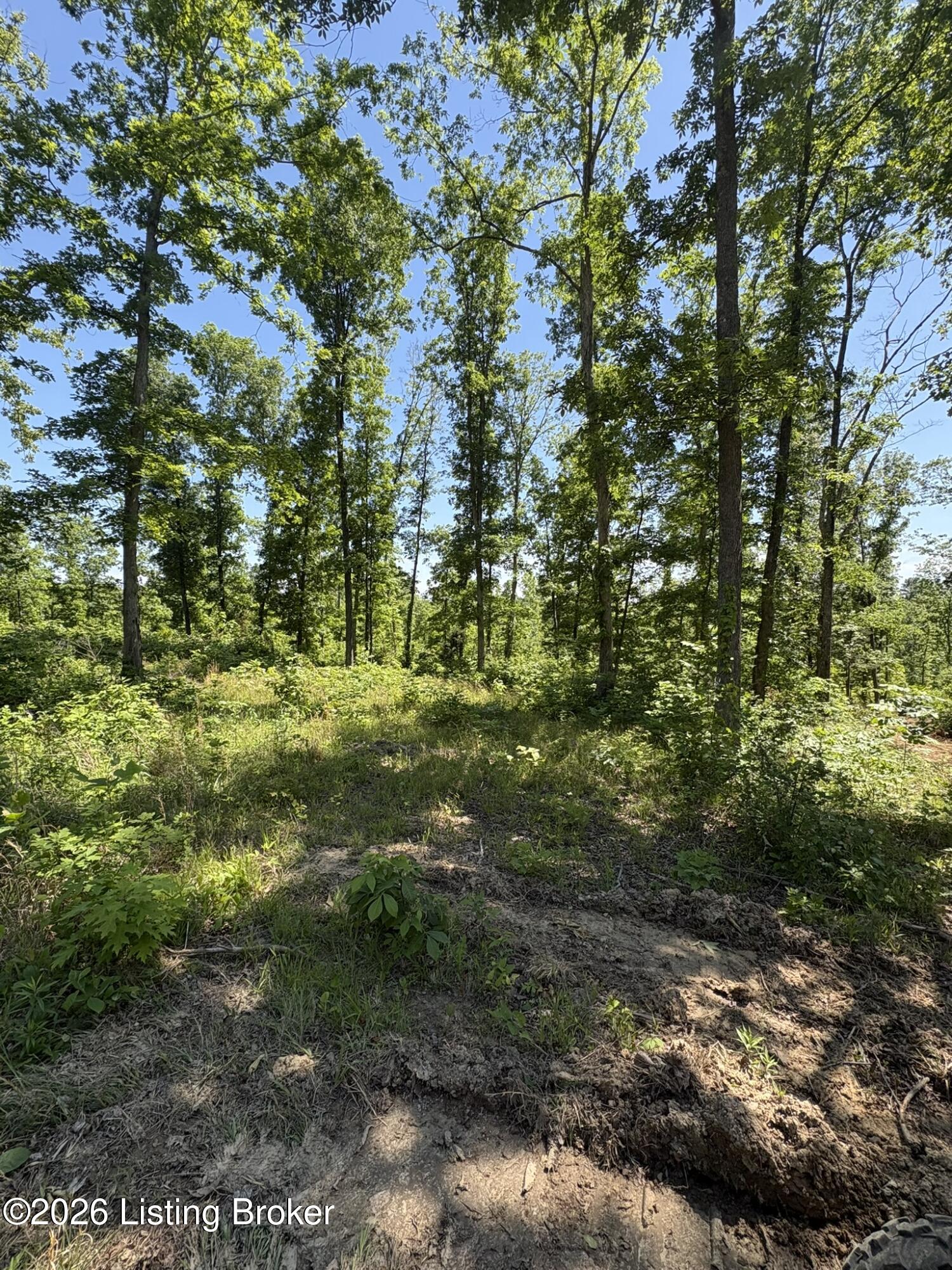 89 Ac Cub Run Rd Property Photo 21
