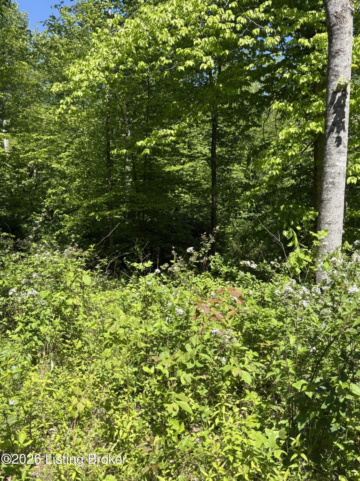 89 Ac Cub Run Rd Property Photo 23