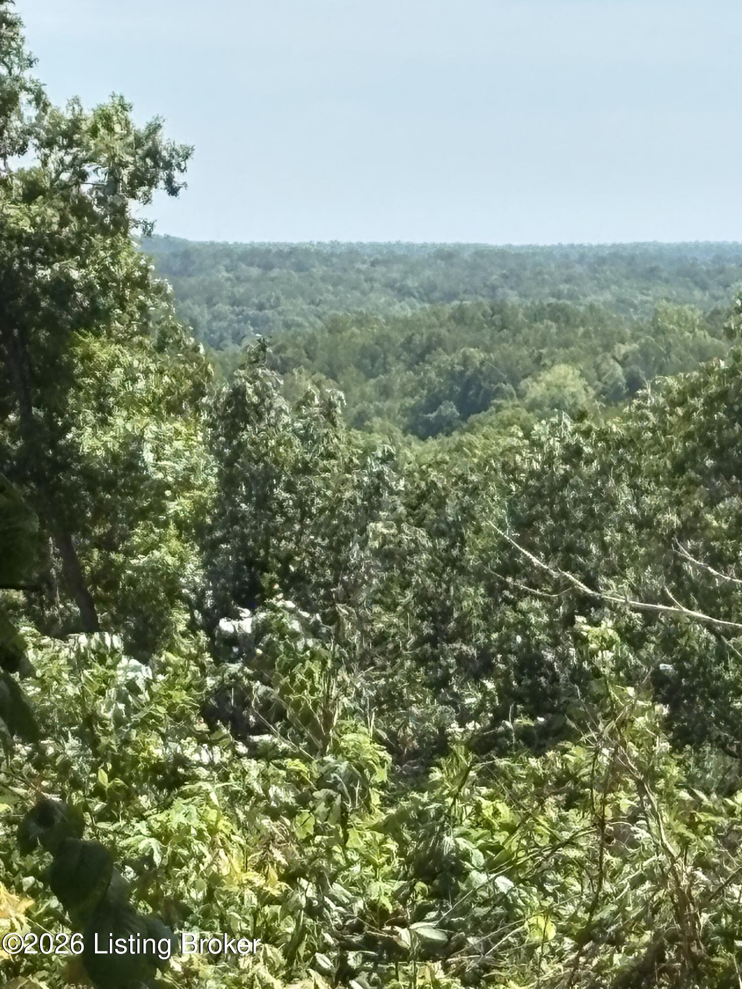89 Ac Cub Run Rd Property Photo 24