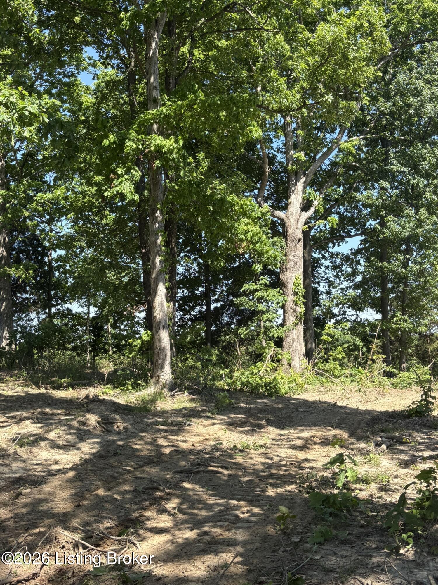 89 Ac Cub Run Rd Property Photo 25