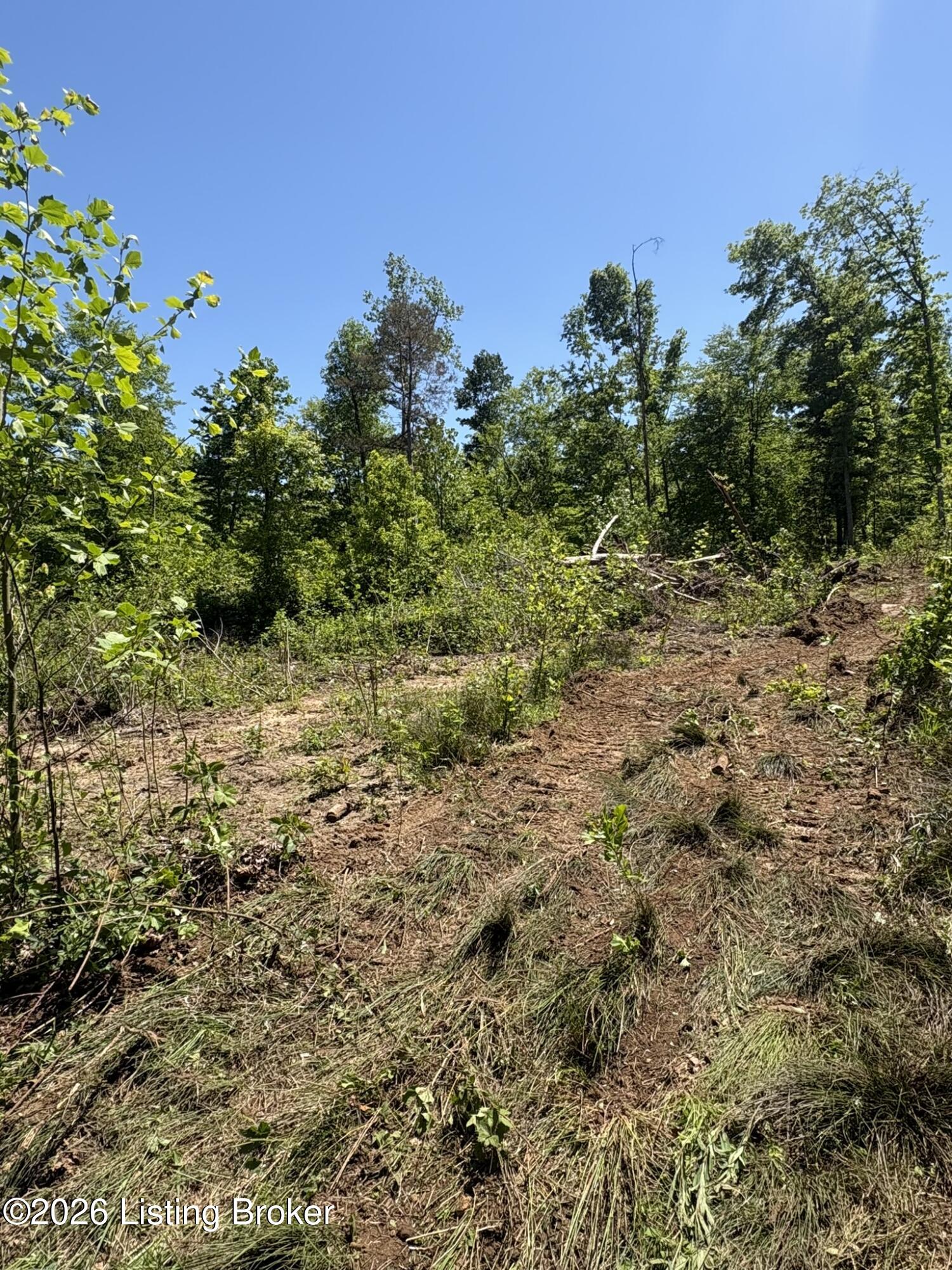 89 Ac Cub Run Rd Property Photo 27
